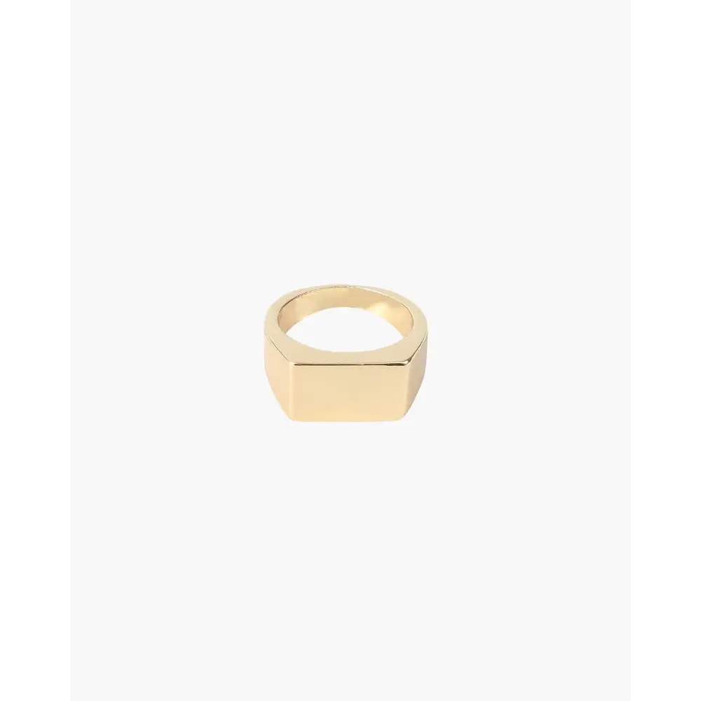 Minimalist Square Signet Ring - Gold / 6