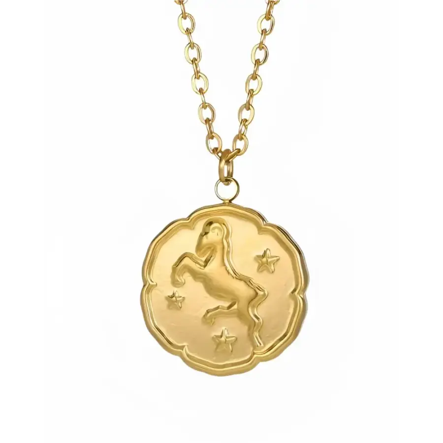 Zodiac Astrological Necklace - Capricorn